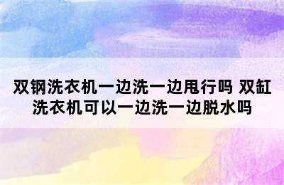 双钢洗衣机一边洗一边甩行吗 双缸洗衣机可以一边洗一边脱水吗